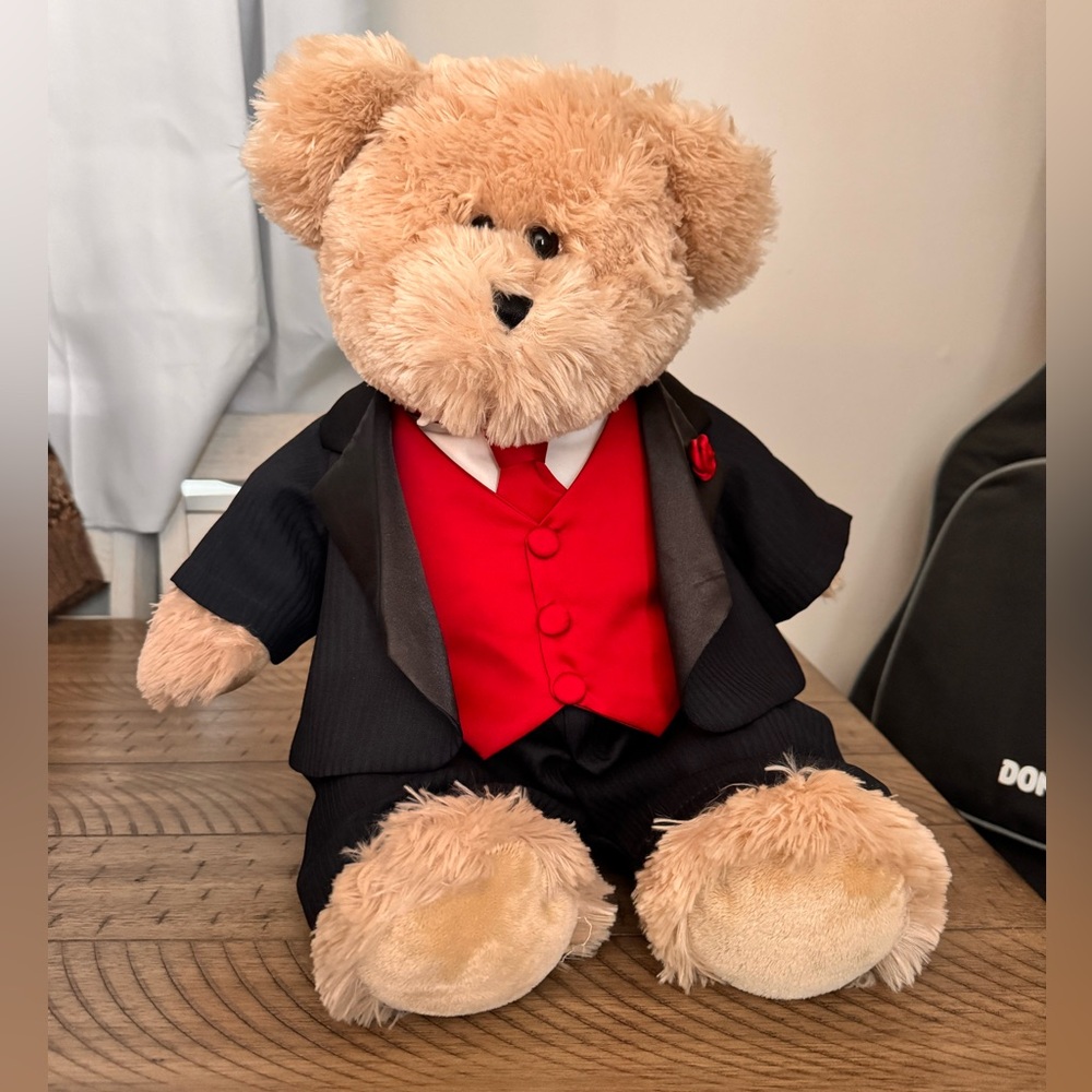 DAVID’S BRIDAL Groom Teddy Bear in Black Suit with Red Vest